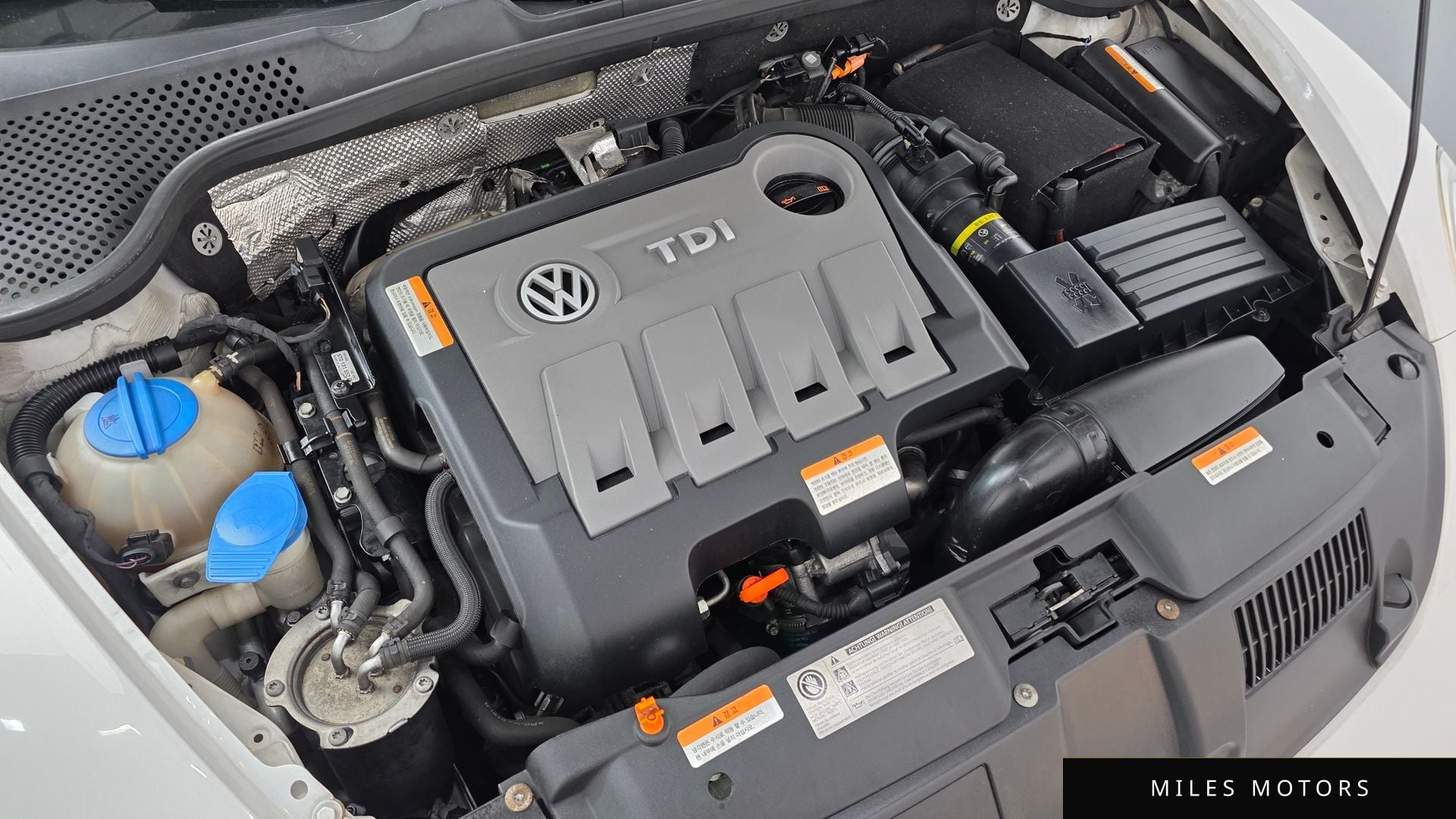 Volkswagen Beetle 2013 — миниатюра 6