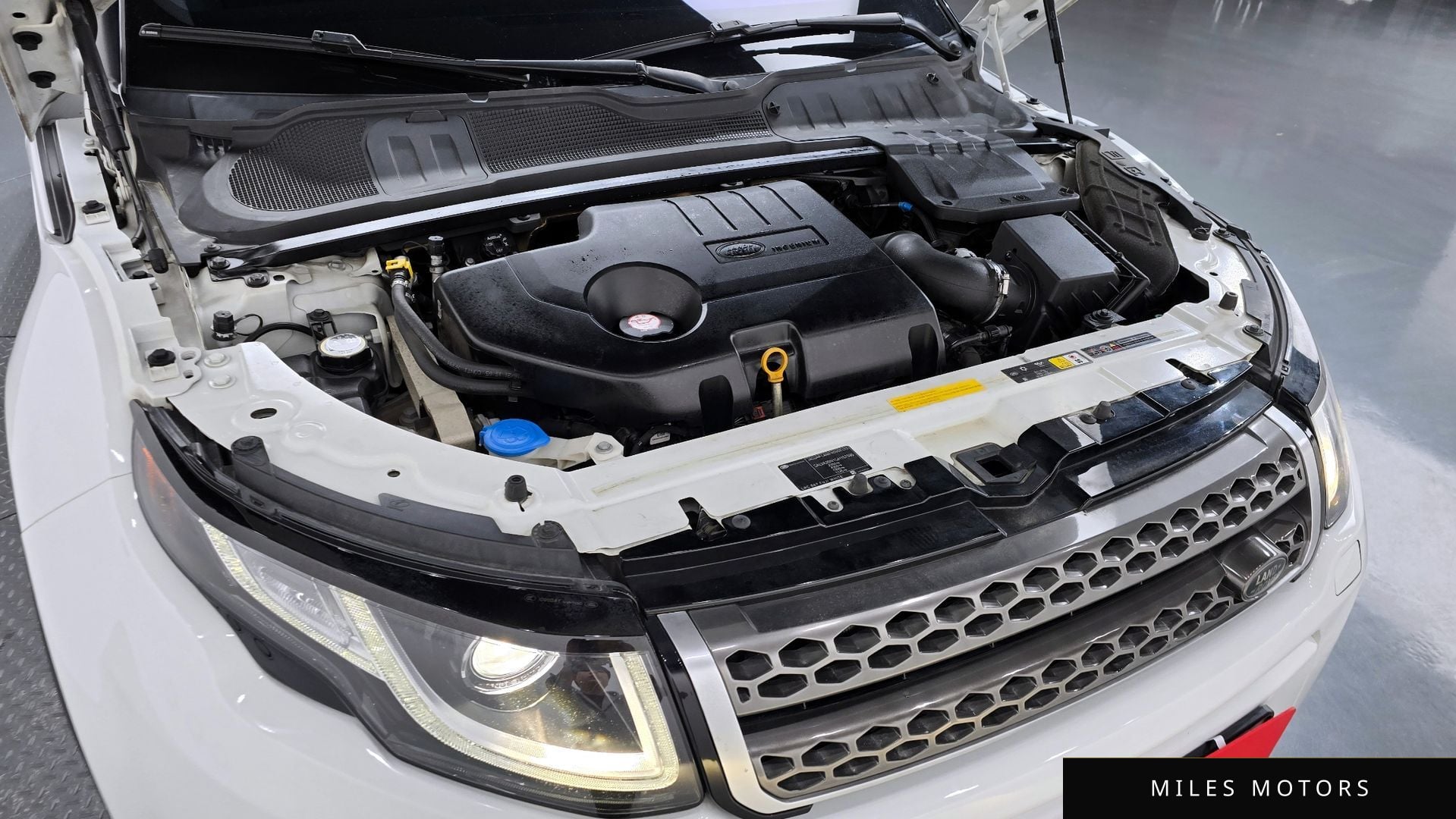 Land Rover Range Rover Evoque 2016 — миниатюра 6