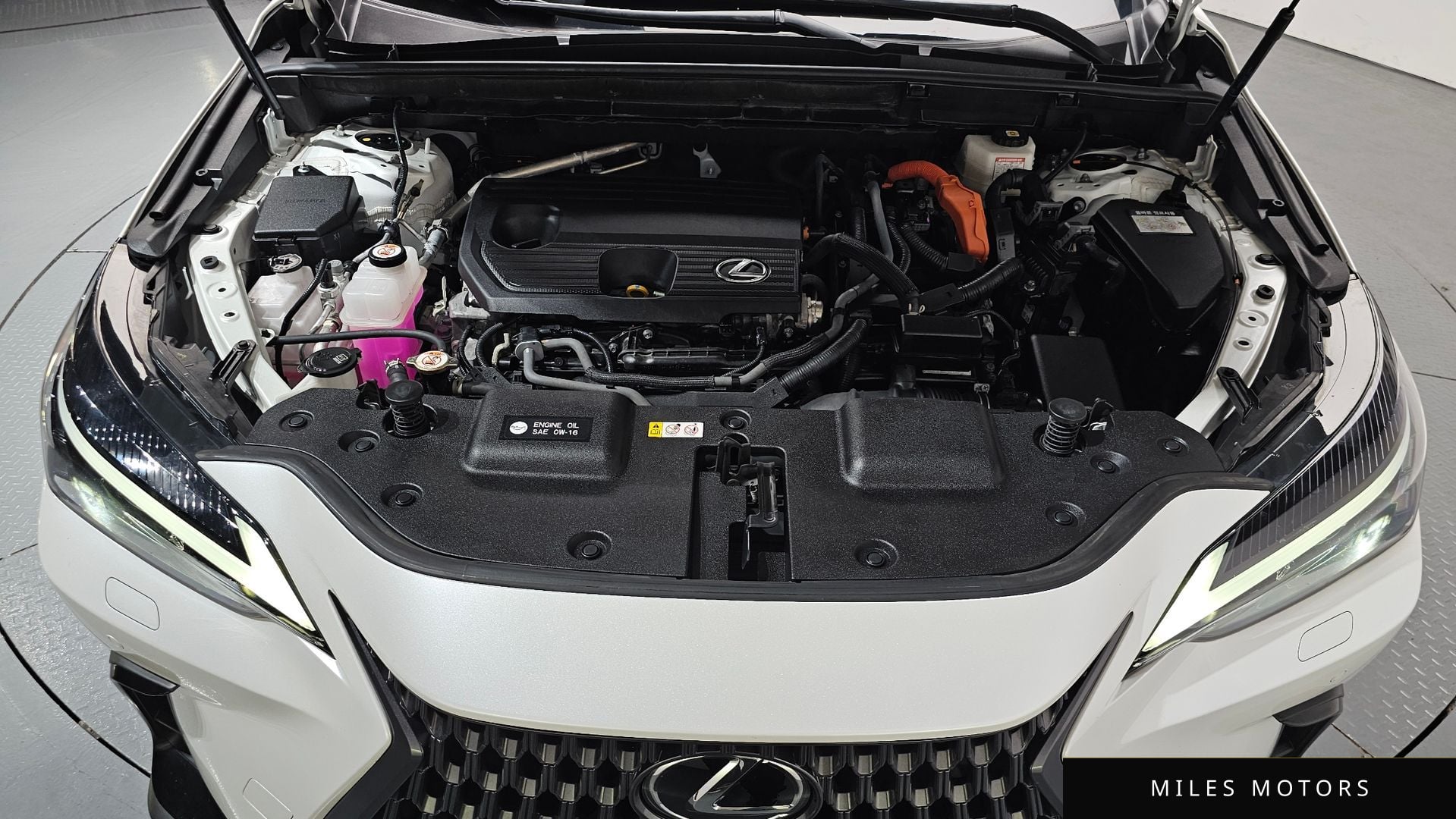 Лексус NX350h 2025 — миниатюра 5