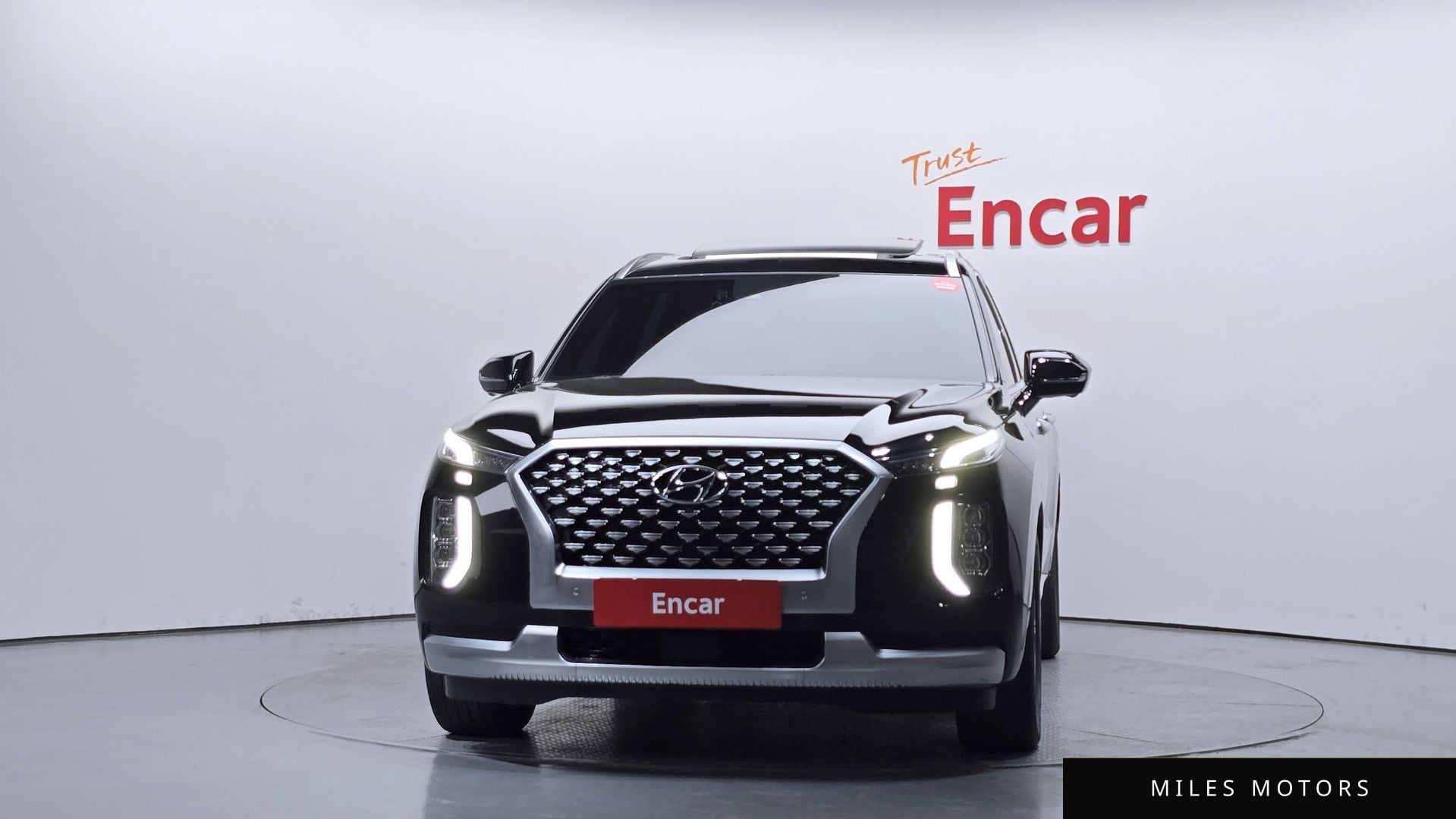 Hyundai Palisade 2021 — миниатюра 3