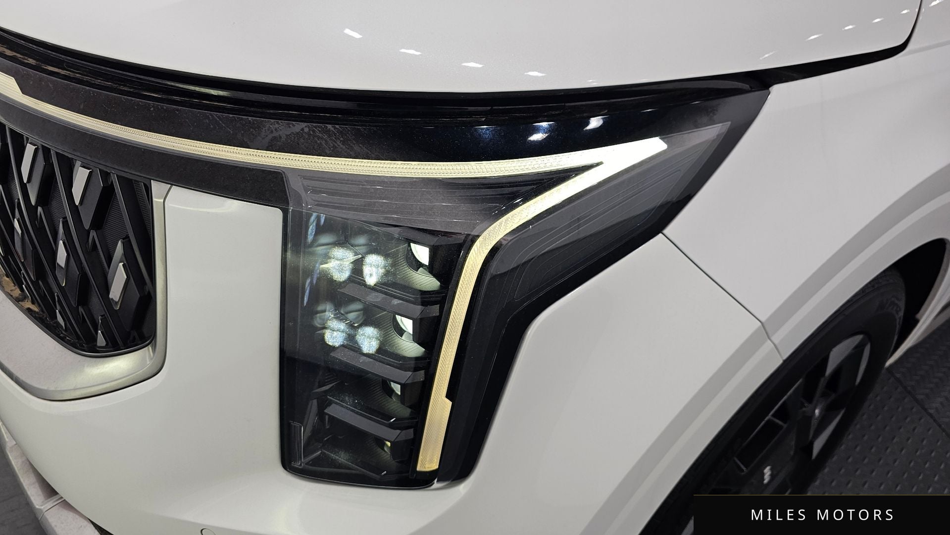 Kia Canival 2024 — миниатюра 8