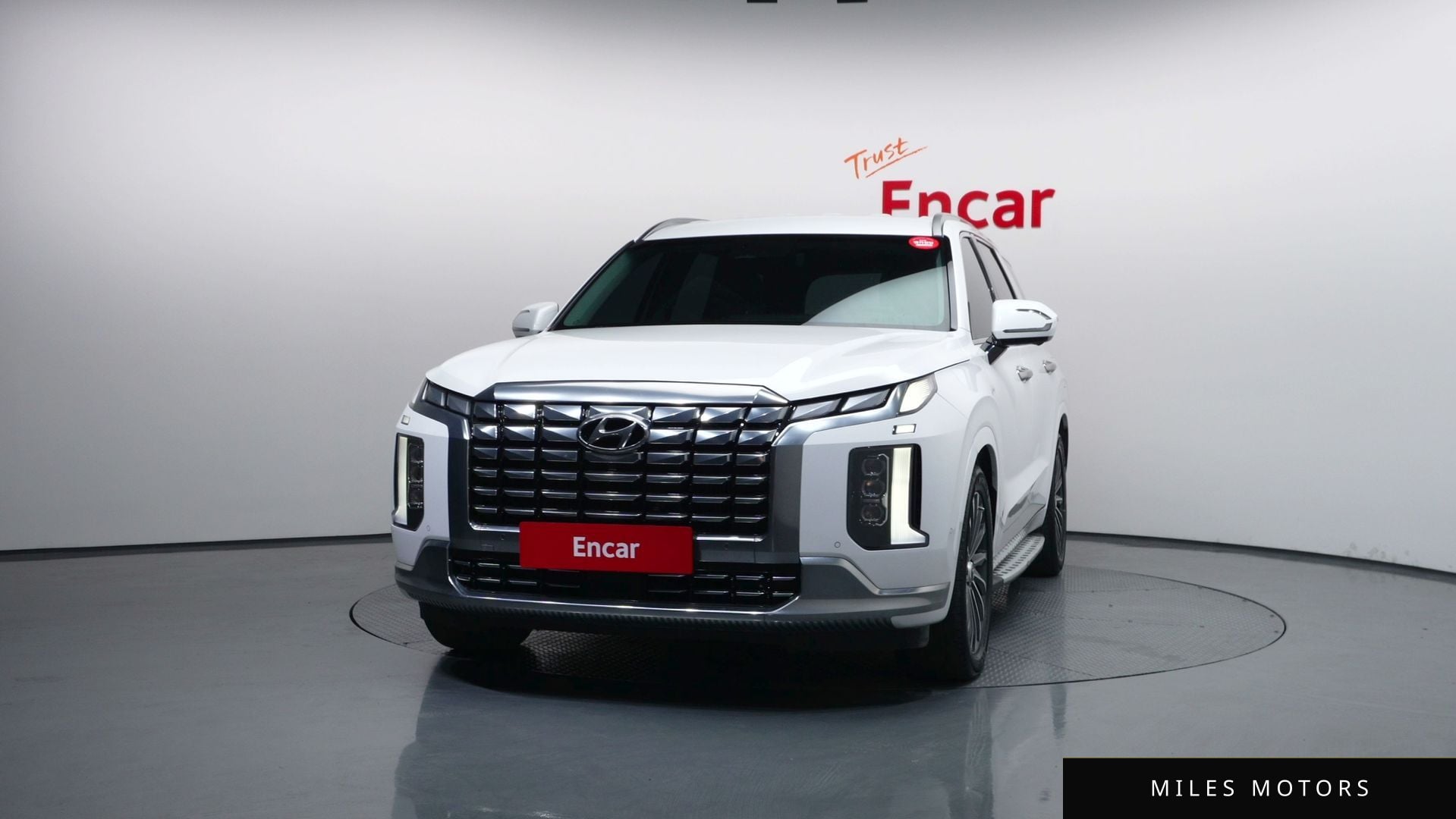 Hyundai Palisade 2023 — миниатюра 3