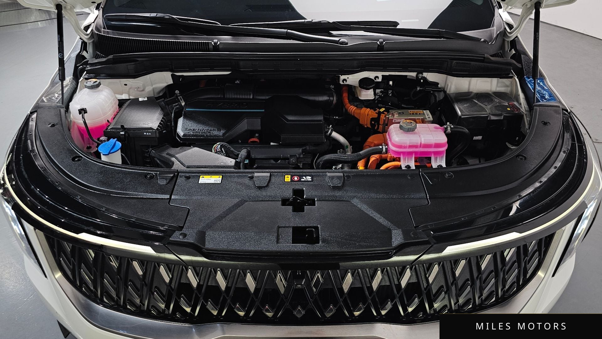 Kia Canival 2024 — миниатюра 5