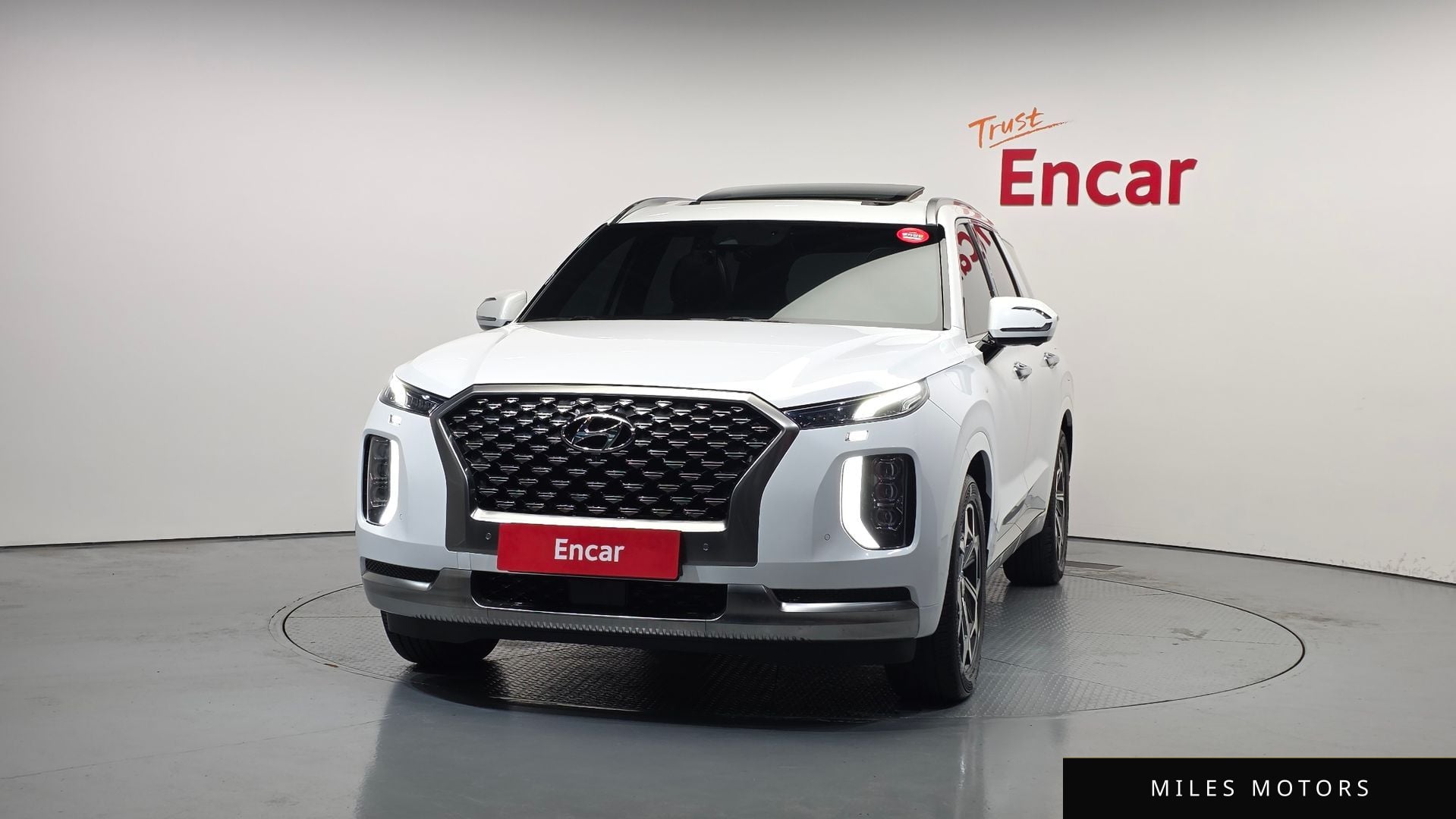 Hyundai Palisade 2022 — миниатюра 3
