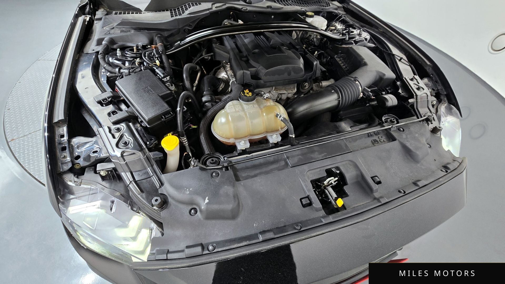Ford Mustang 2019 — миниатюра 6
