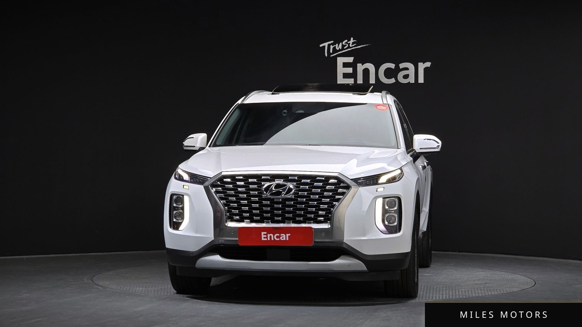 Hyundai Palisade 2019 — миниатюра 3