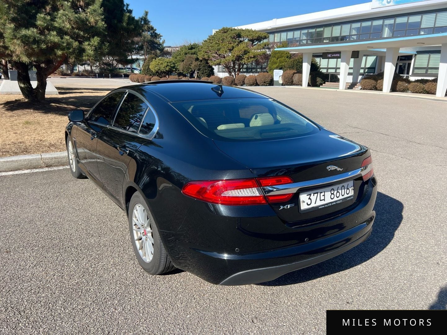Jaguar New XF 2014 — миниатюра 4