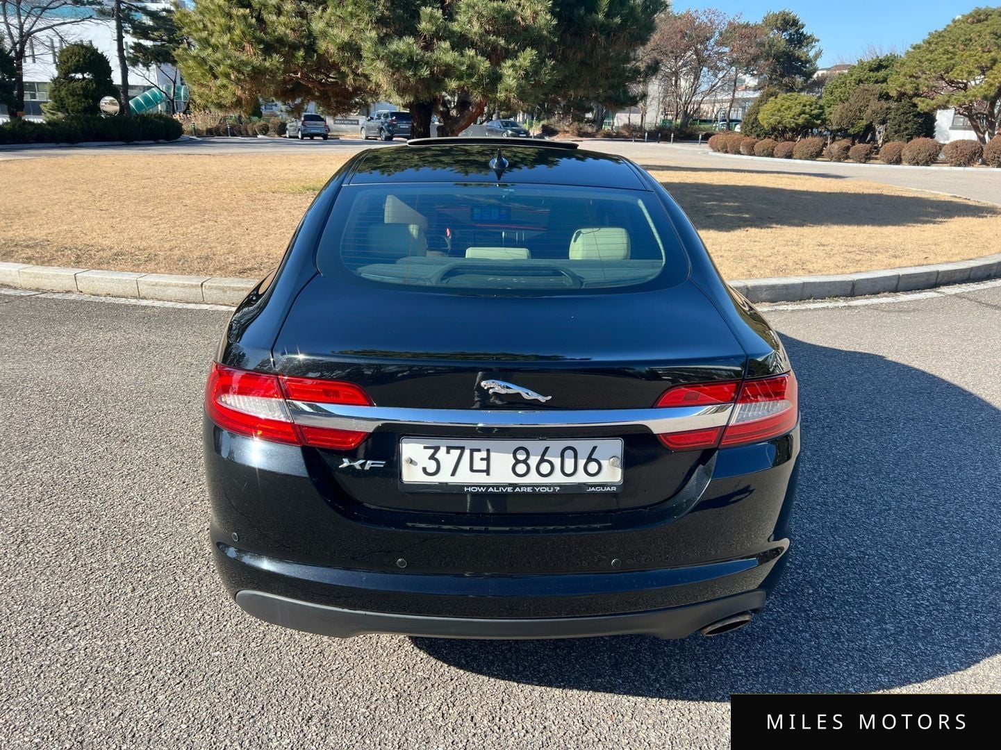 Jaguar New XF 2014 — миниатюра 5