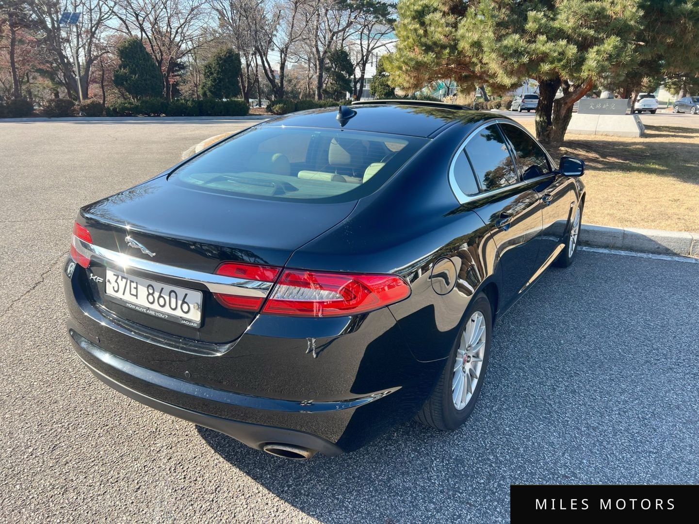 Jaguar New XF 2014 — миниатюра 6