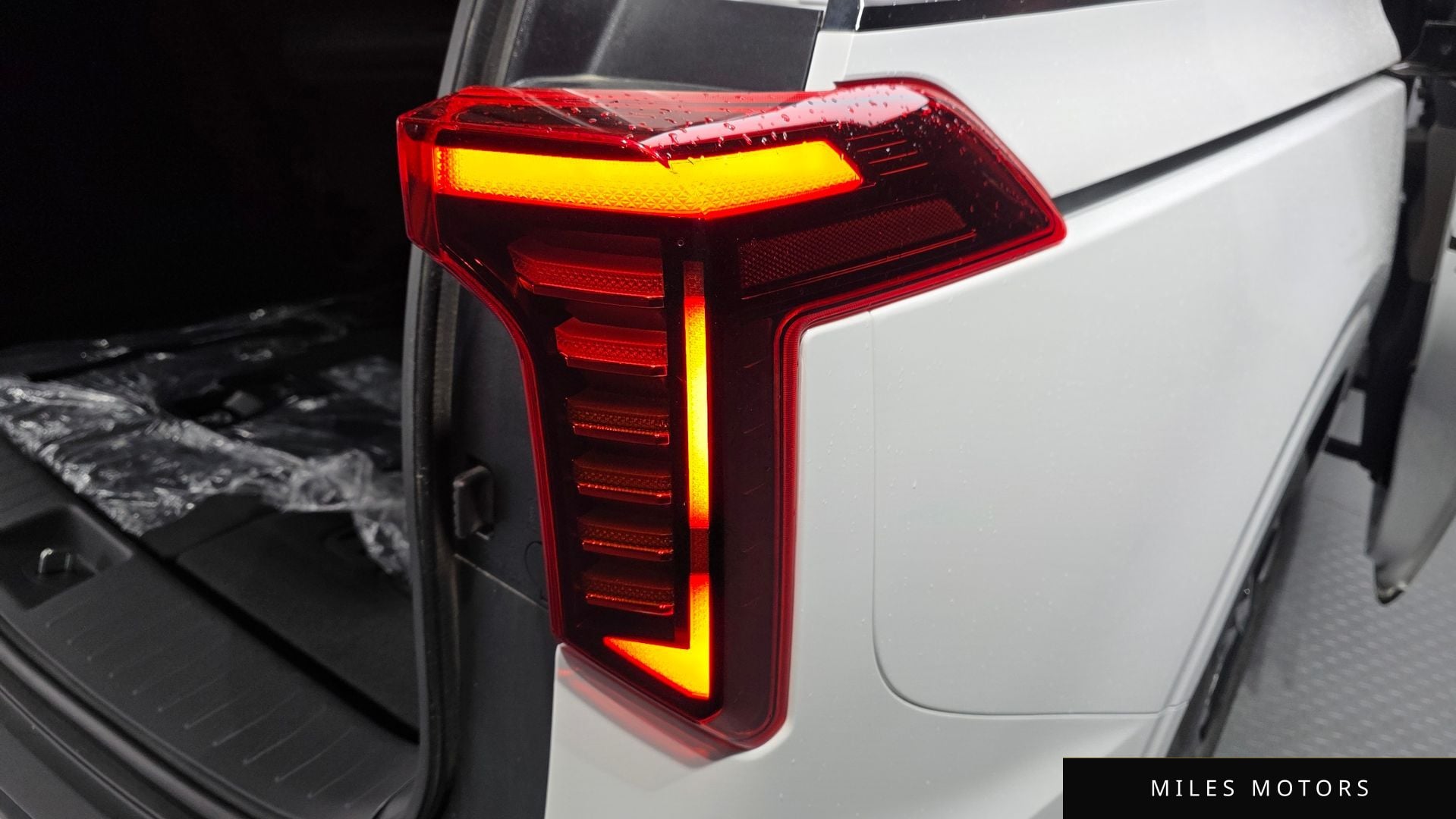 Kia Canival 2024 — миниатюра 9