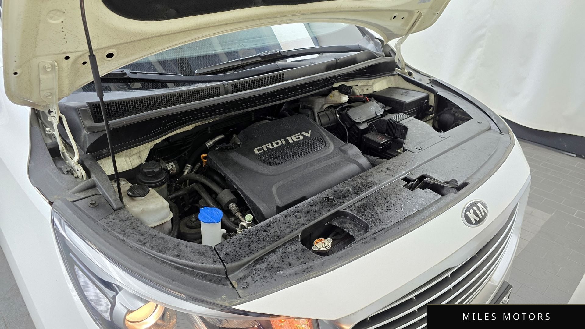 Kia Canival 2016 — миниатюра 6