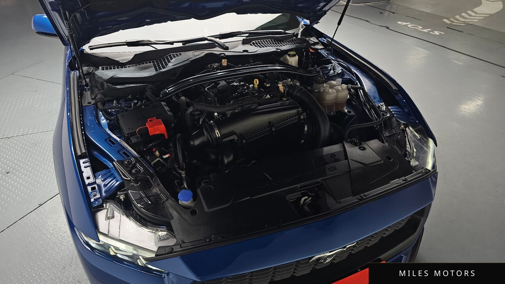 Ford Mustang 2024 — миниатюра 5