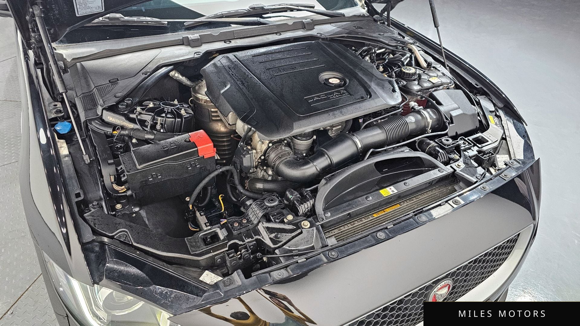 Jaguar XE 2016 — миниатюра 6