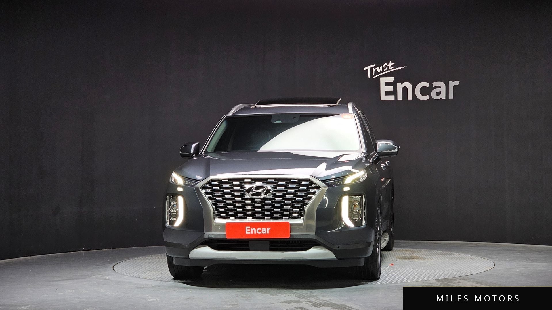 Hyundai Palisade 2019 — миниатюра 3
