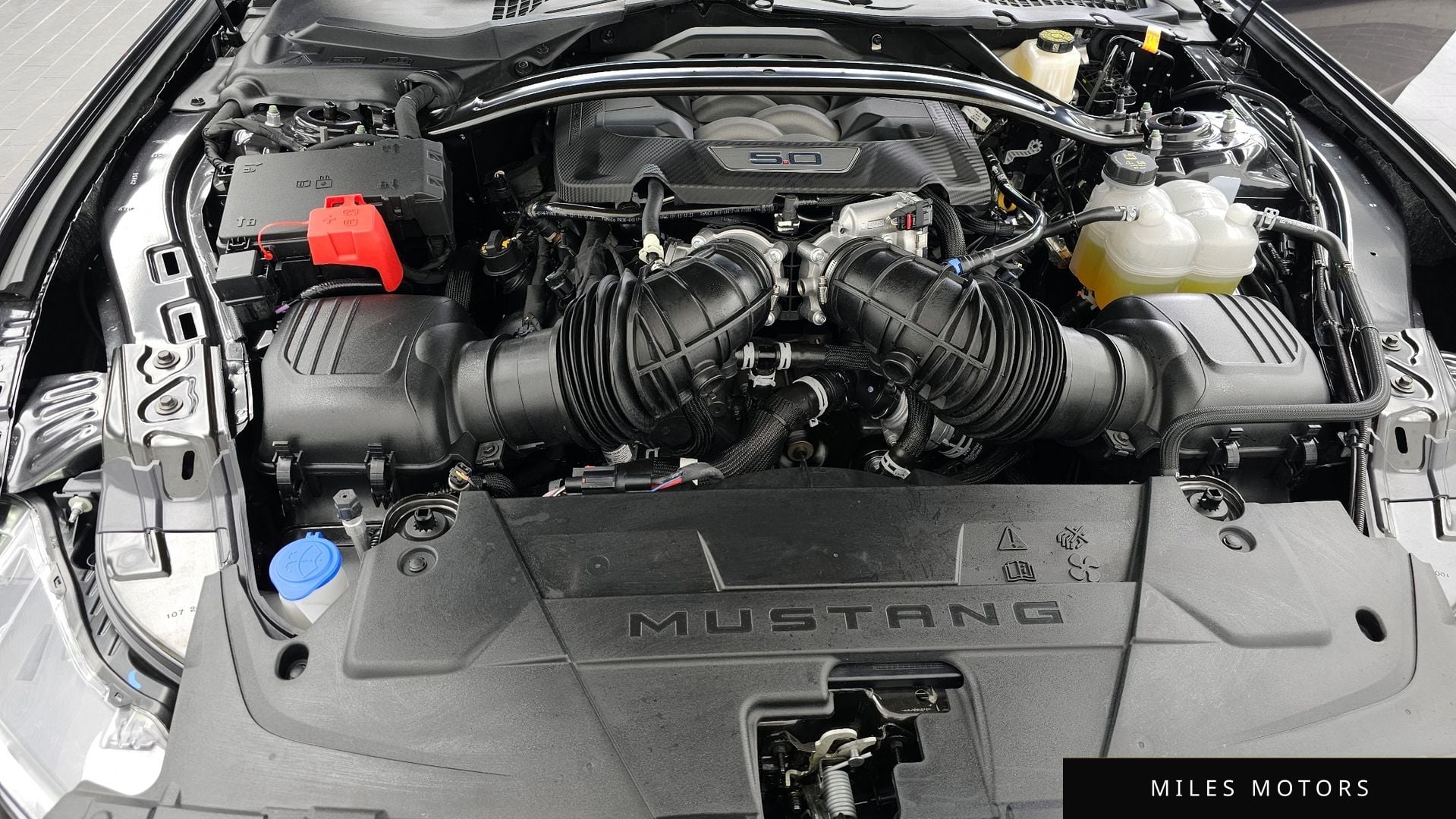 Ford Mustang 2024 — миниатюра 6