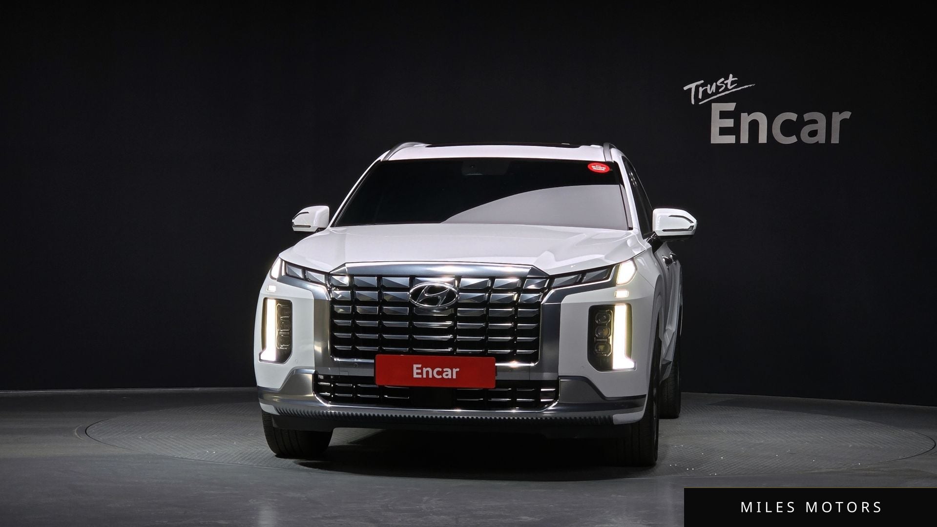 Hyundai Palisade 2023 — миниатюра 3