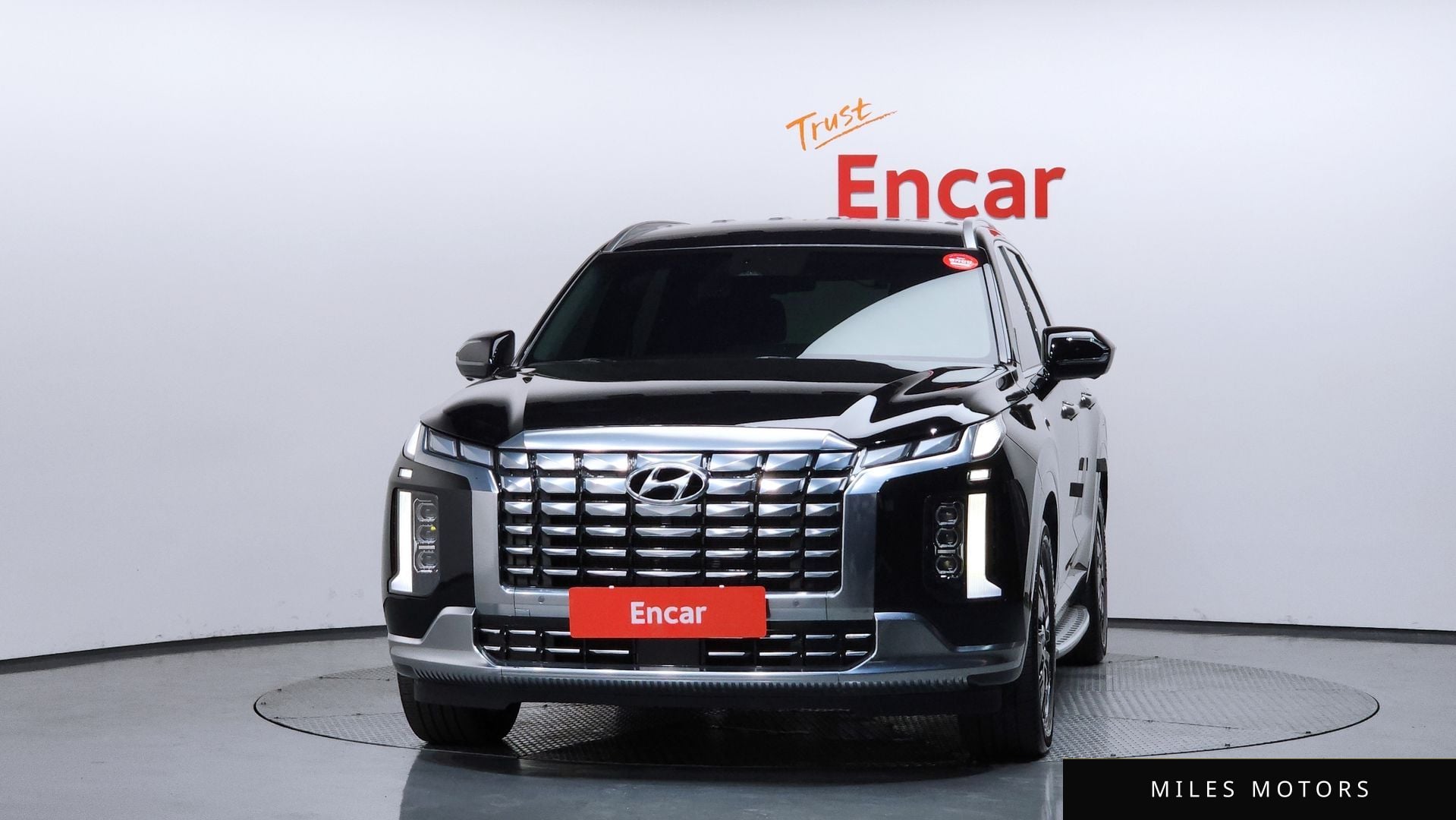 Hyundai Palisade 2023 — миниатюра 3