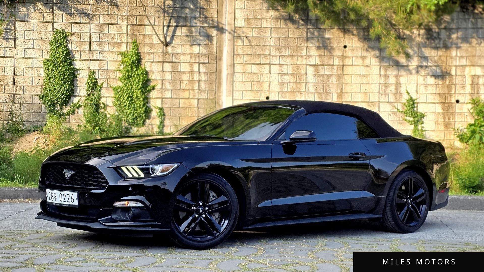 Ford Mustang 2017 — миниатюра 2