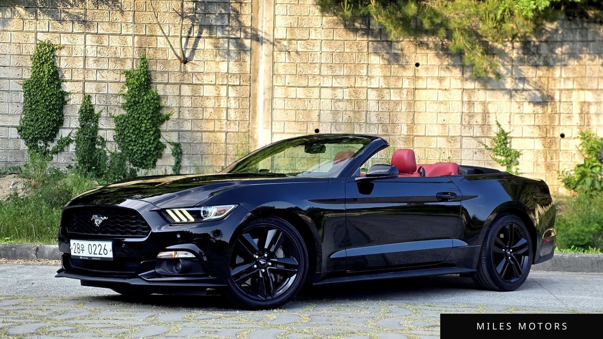 Ford Mustang 2017 — миниатюра 3