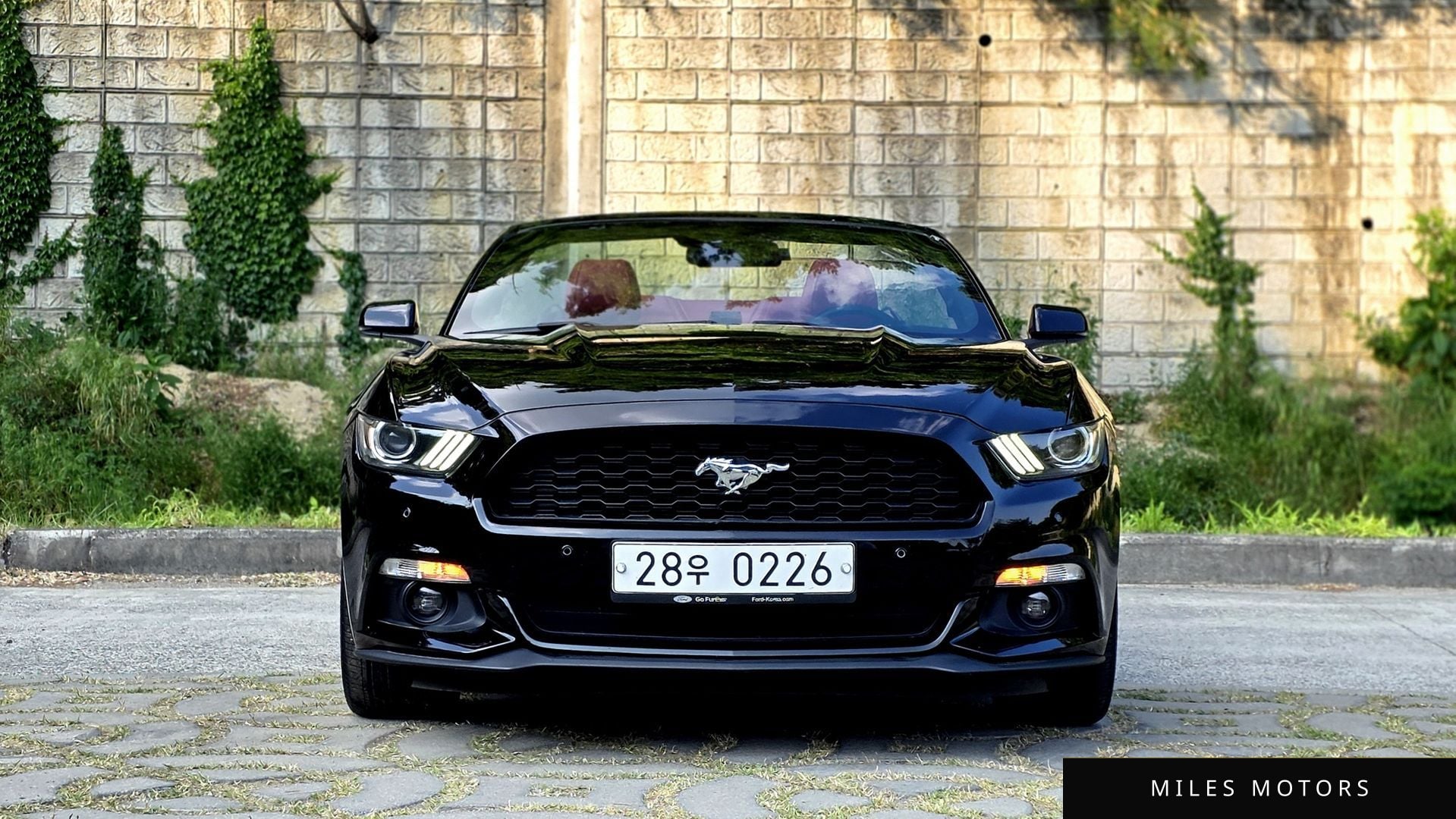 Ford Mustang 2017 — миниатюра 5