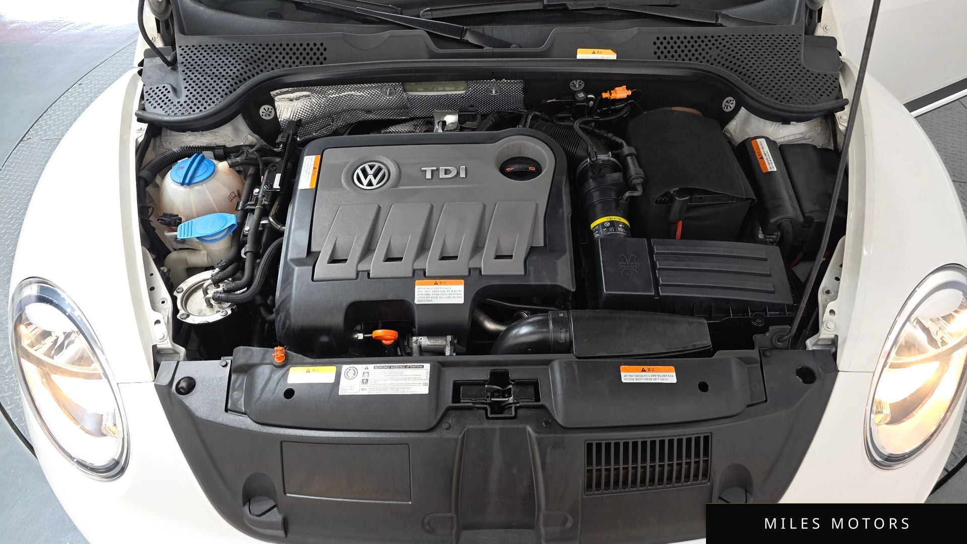 Volkswagen Beetle 2013 — миниатюра 6