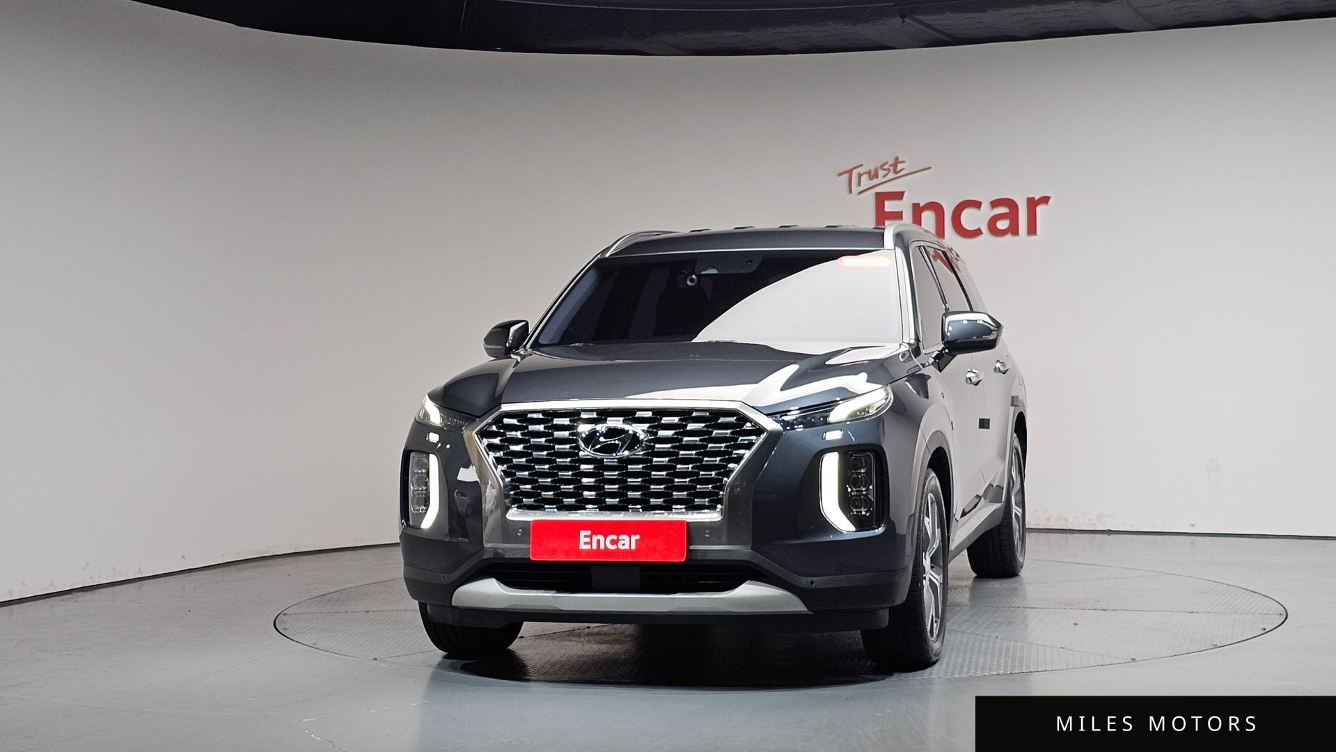 Hyundai Palisade 2019 — миниатюра 2