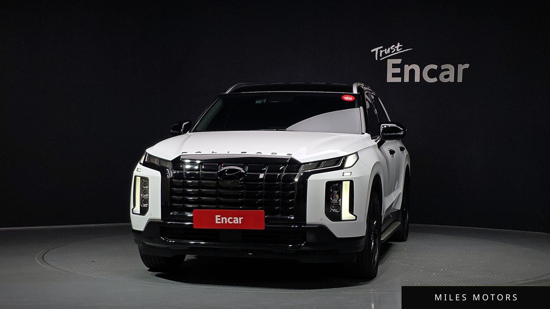 Hyundai Palisade 2023 — миниатюра 3
