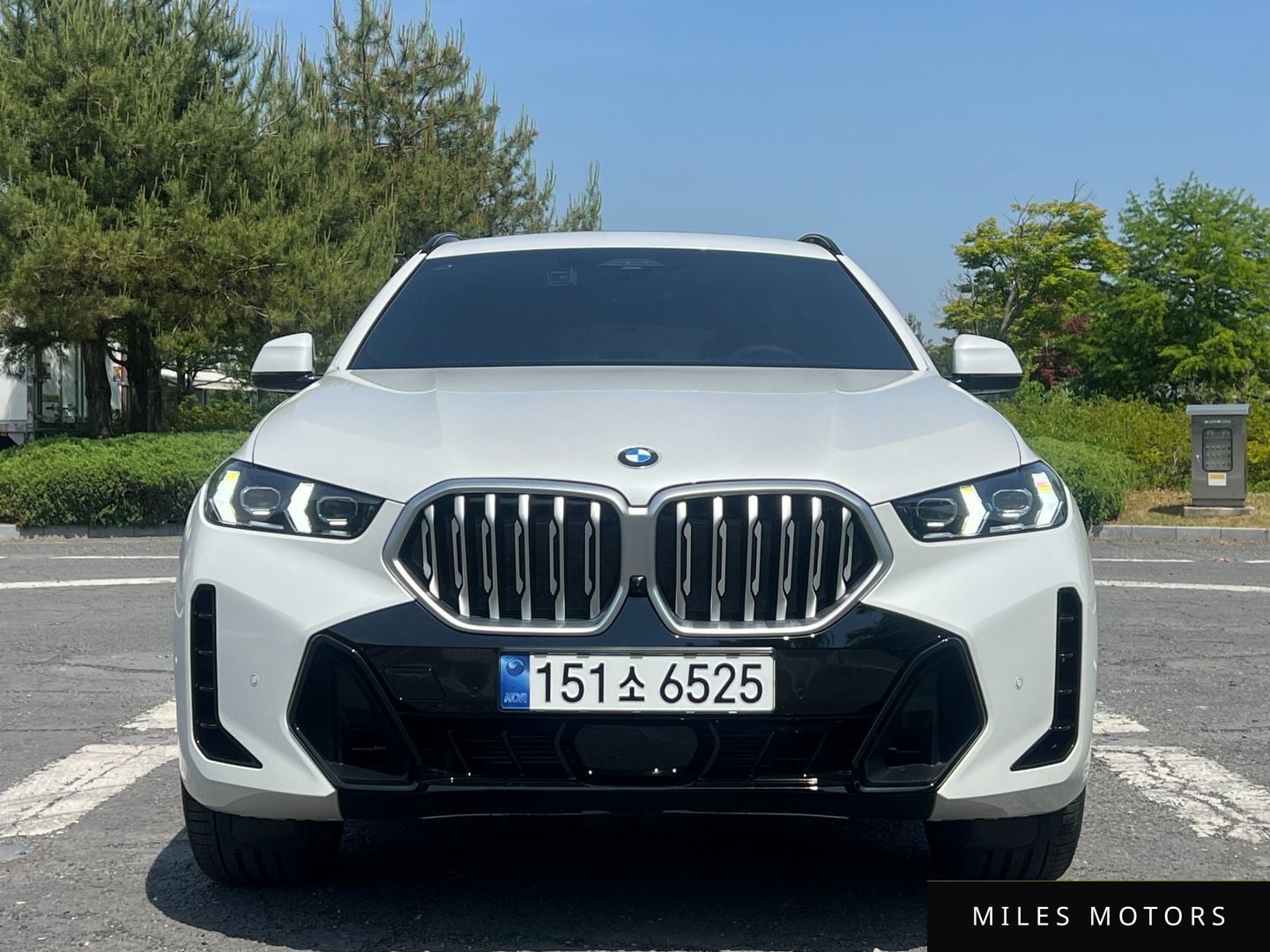 BMW X6 (G06) 2024 — миниатюра 2