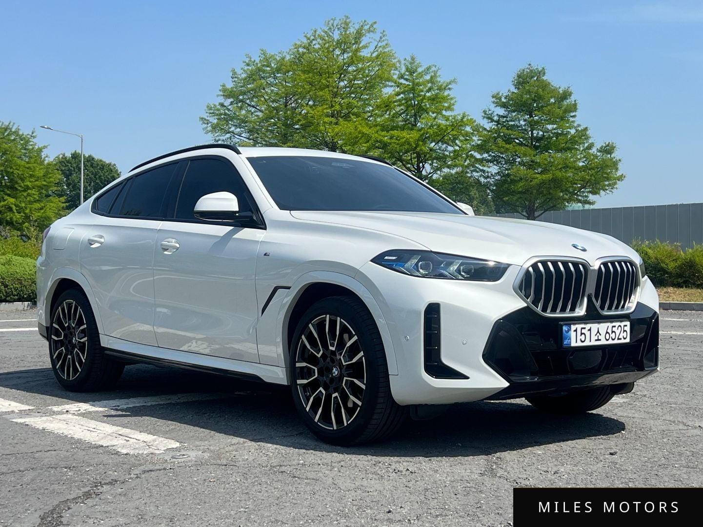 BMW X6 (G06) 2024 — миниатюра 3