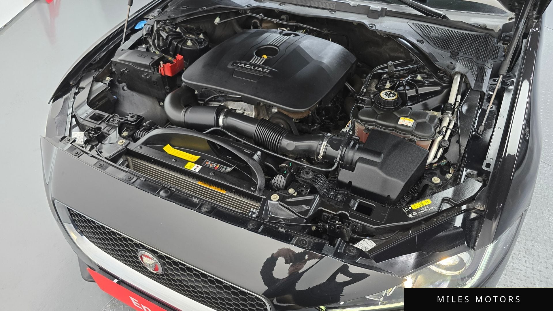 Jaguar XE 2016 — миниатюра 6