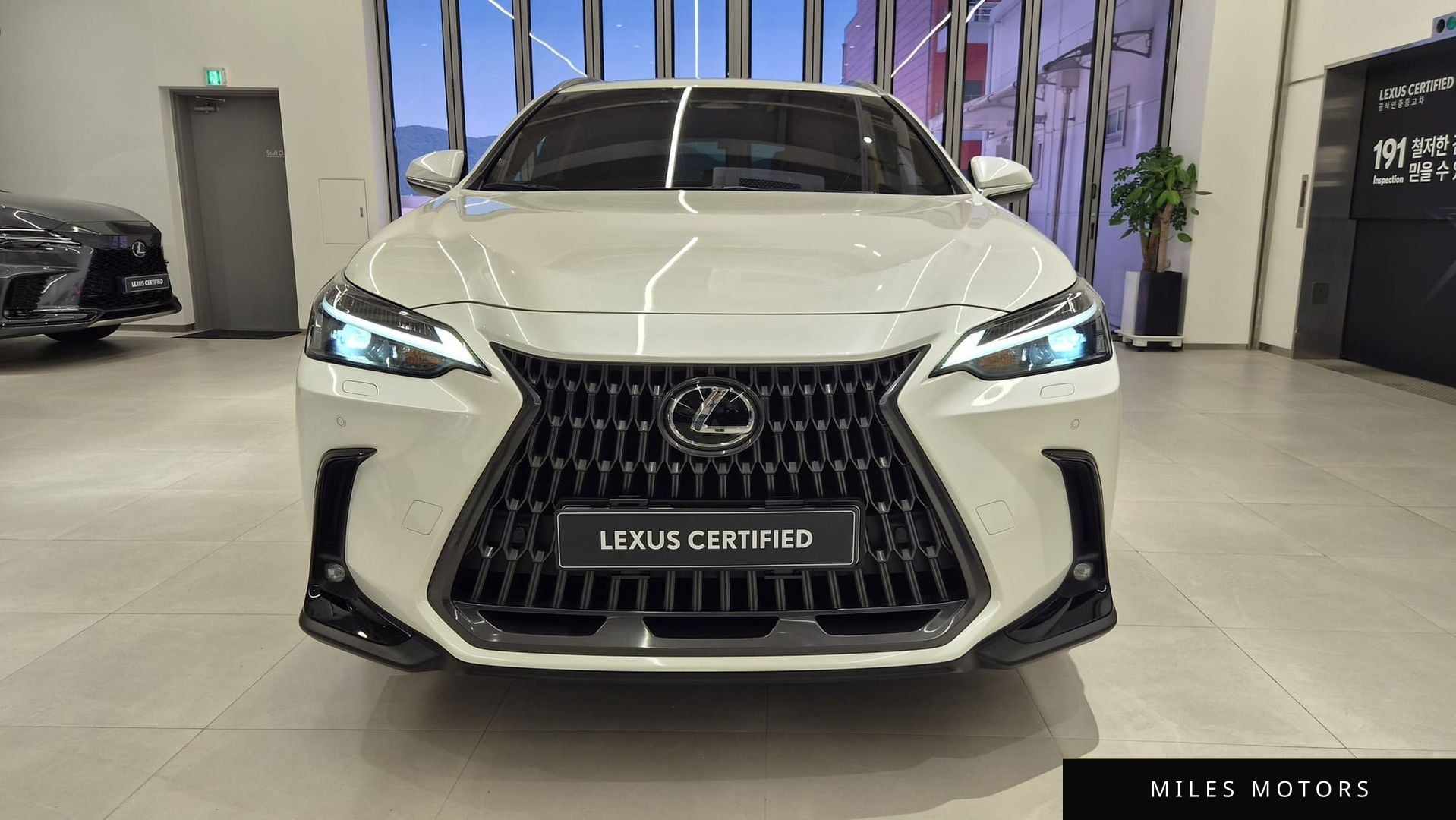 Лексус NX350h 2024 — миниатюра 3
