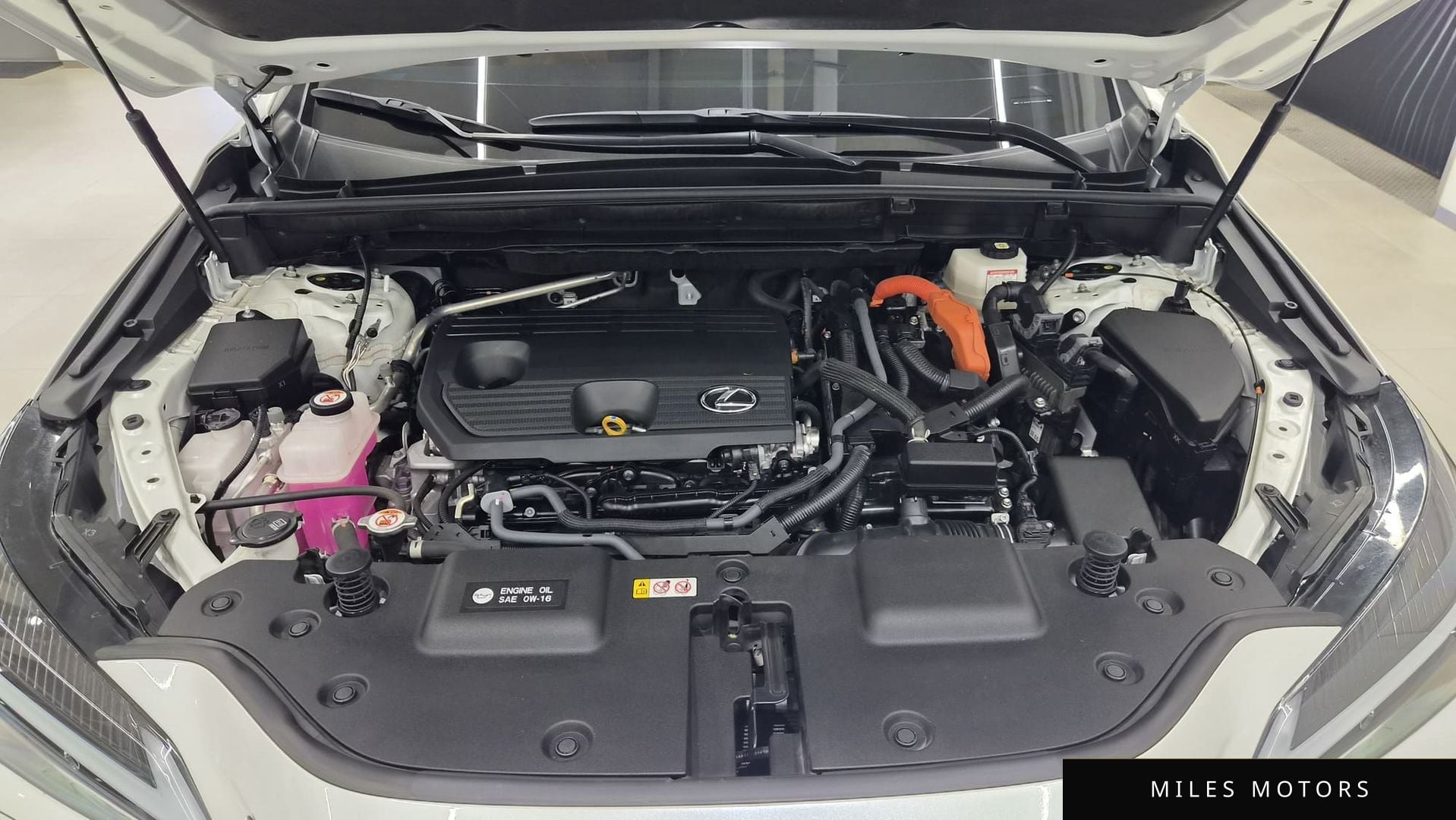 Лексус NX350h 2024 — миниатюра 6