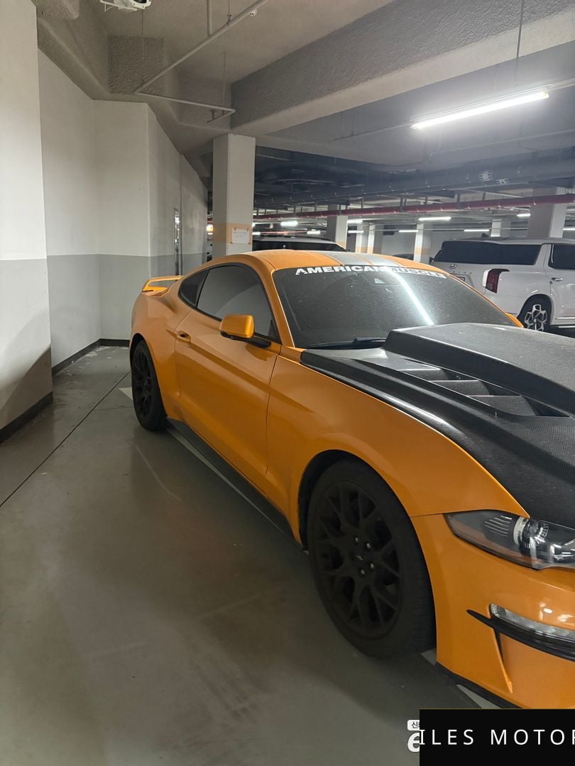Ford Mustang 2019 — миниатюра 2