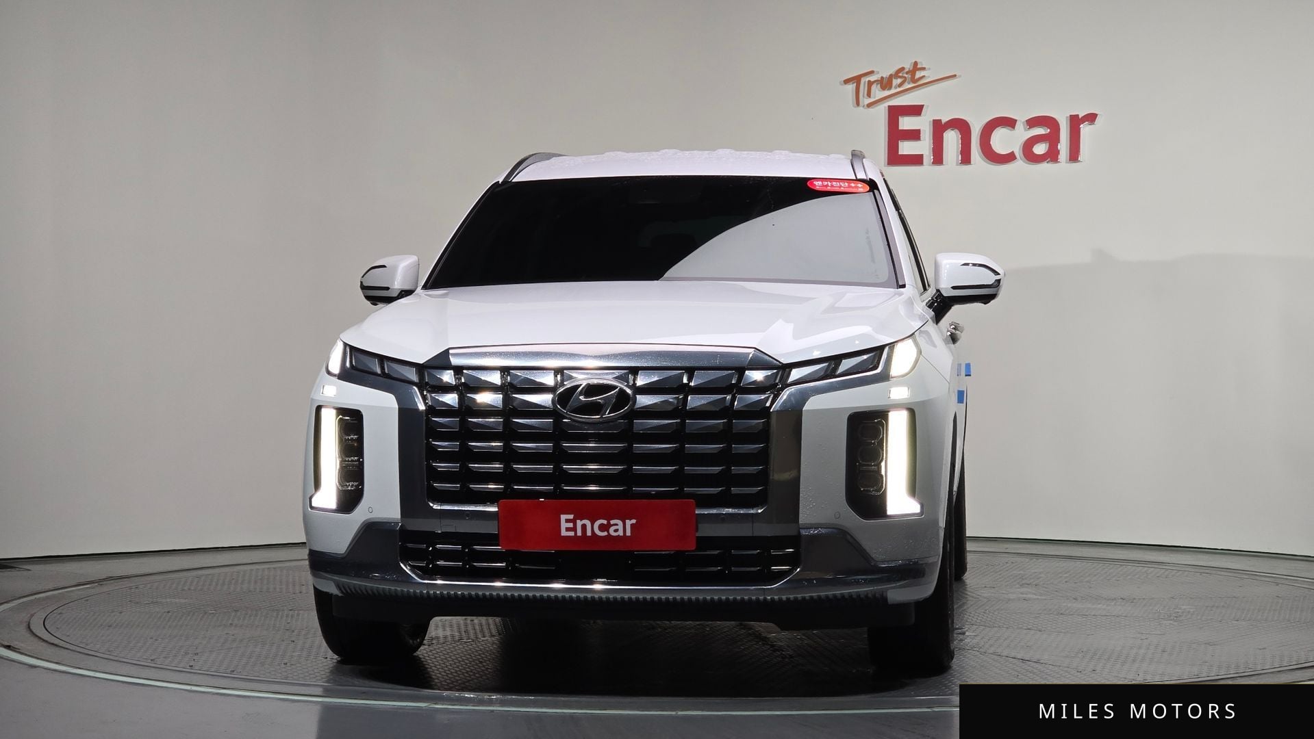 Hyundai Palisade 2024 — миниатюра 2