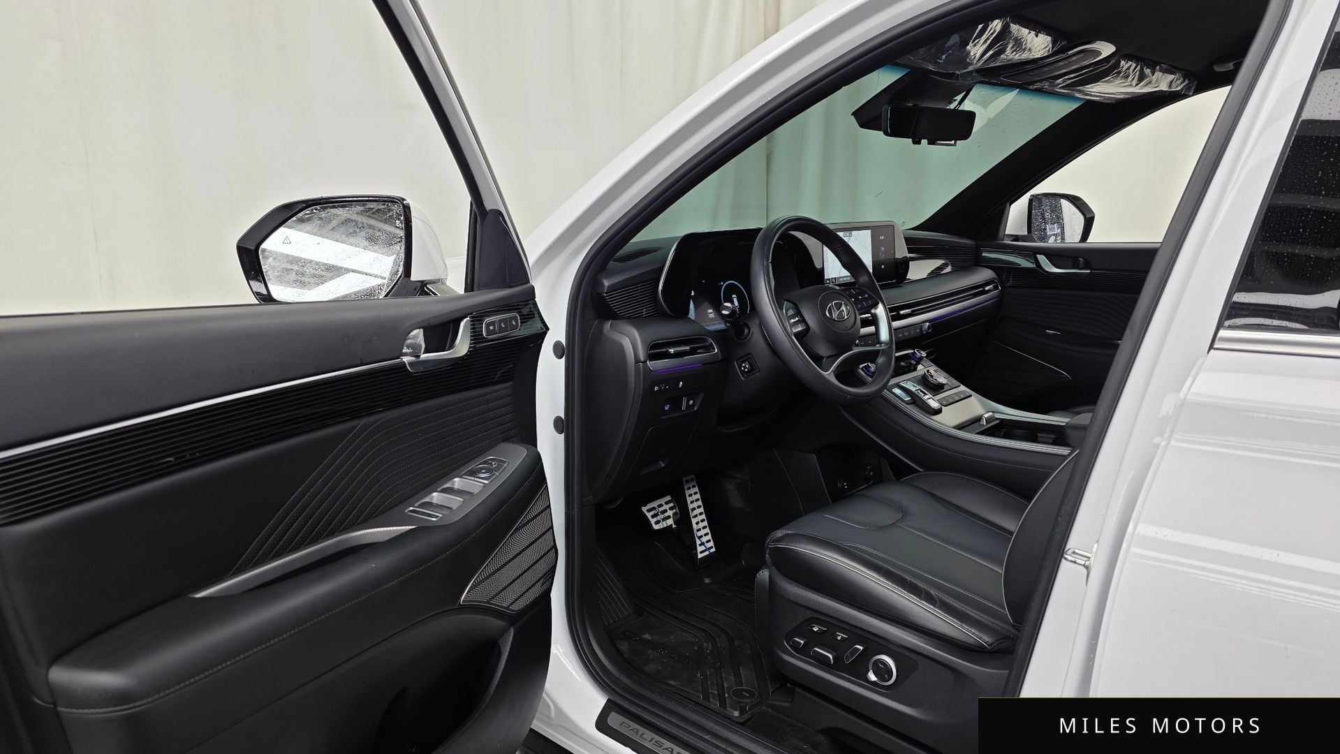 Hyundai Palisade 2024 — миниатюра 12