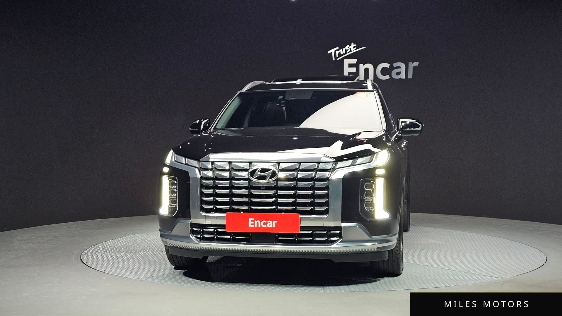 Hyundai Palisade 2023 — миниатюра 3