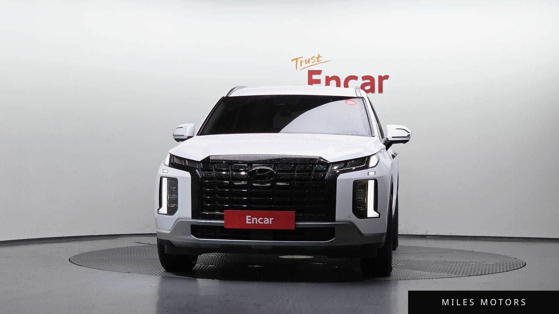 Hyundai Palisade 2023 — миниатюра 3