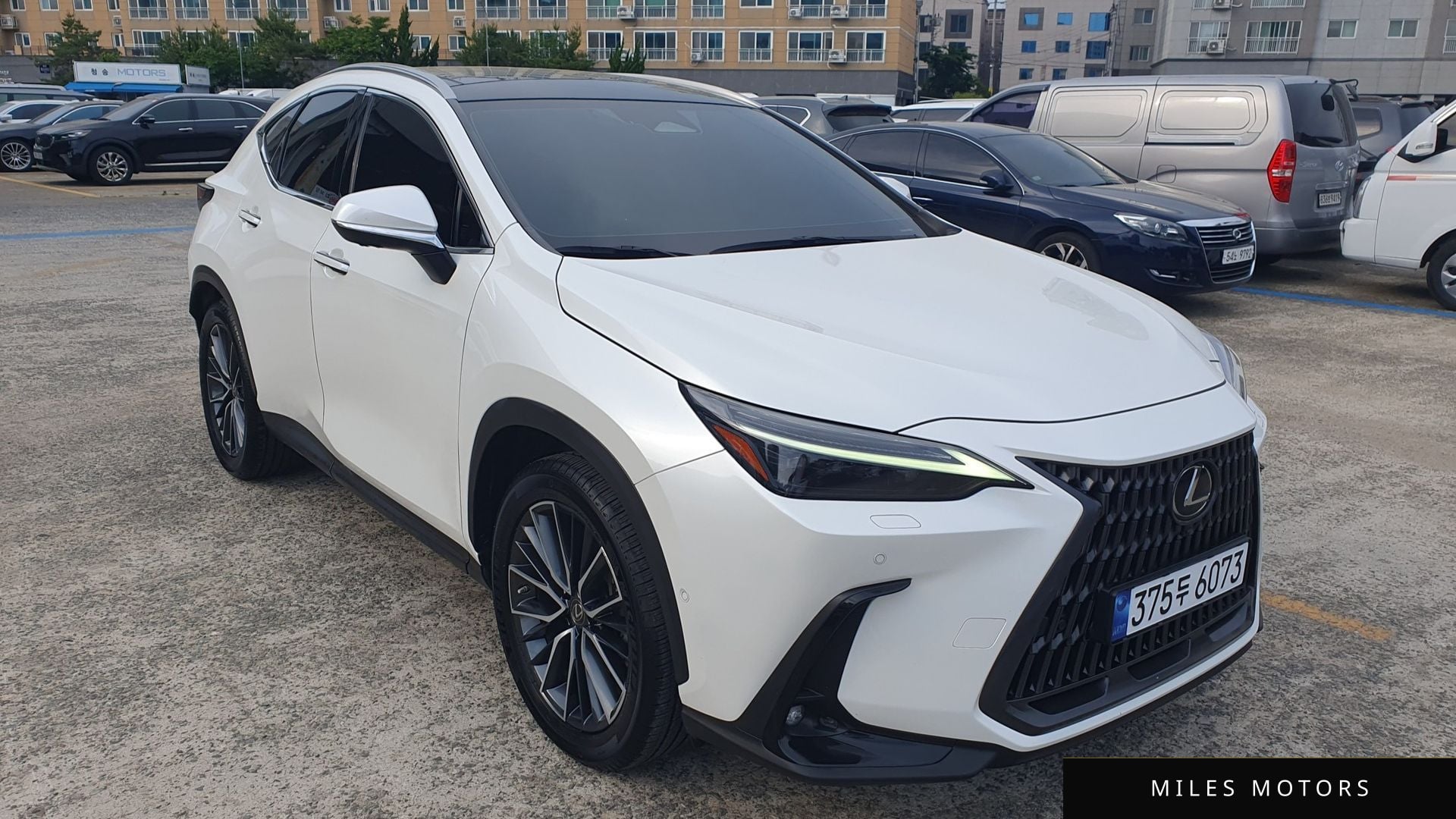 Лексус NX350h 2023 — фото 1 из 12