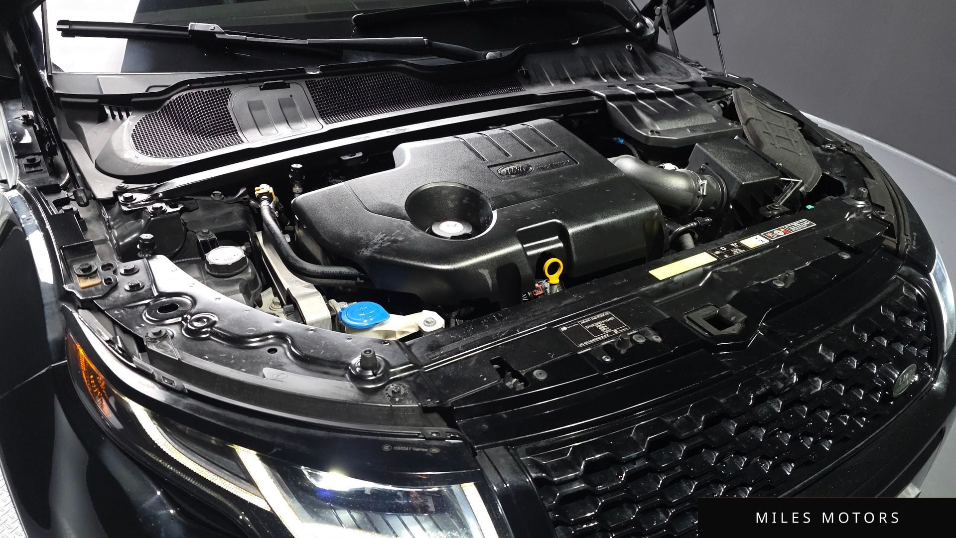 Land Rover Range Rover Evoque 2017 — миниатюра 6