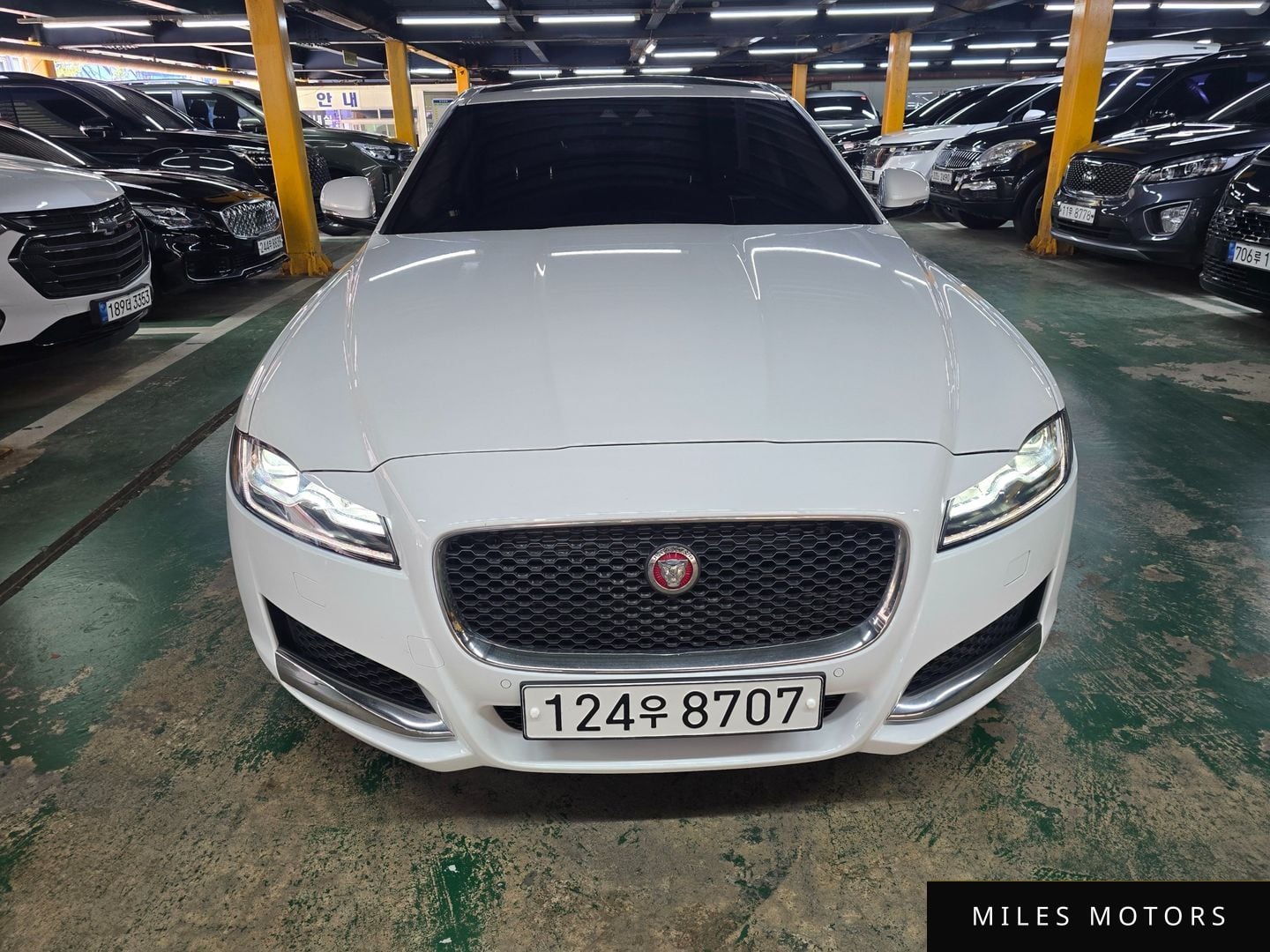 Jaguar XF (X260) 2019 — миниатюра 2