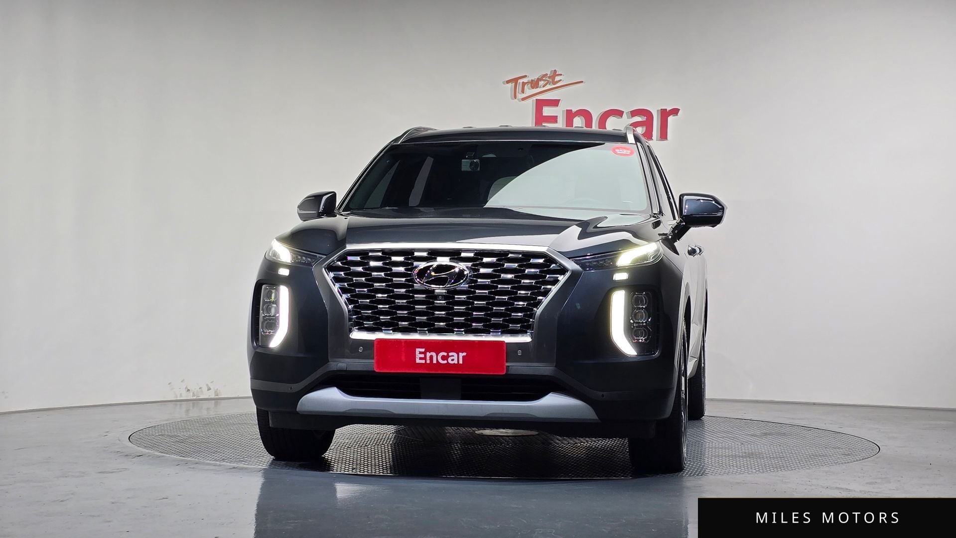 Hyundai Palisade 2019 — миниатюра 3