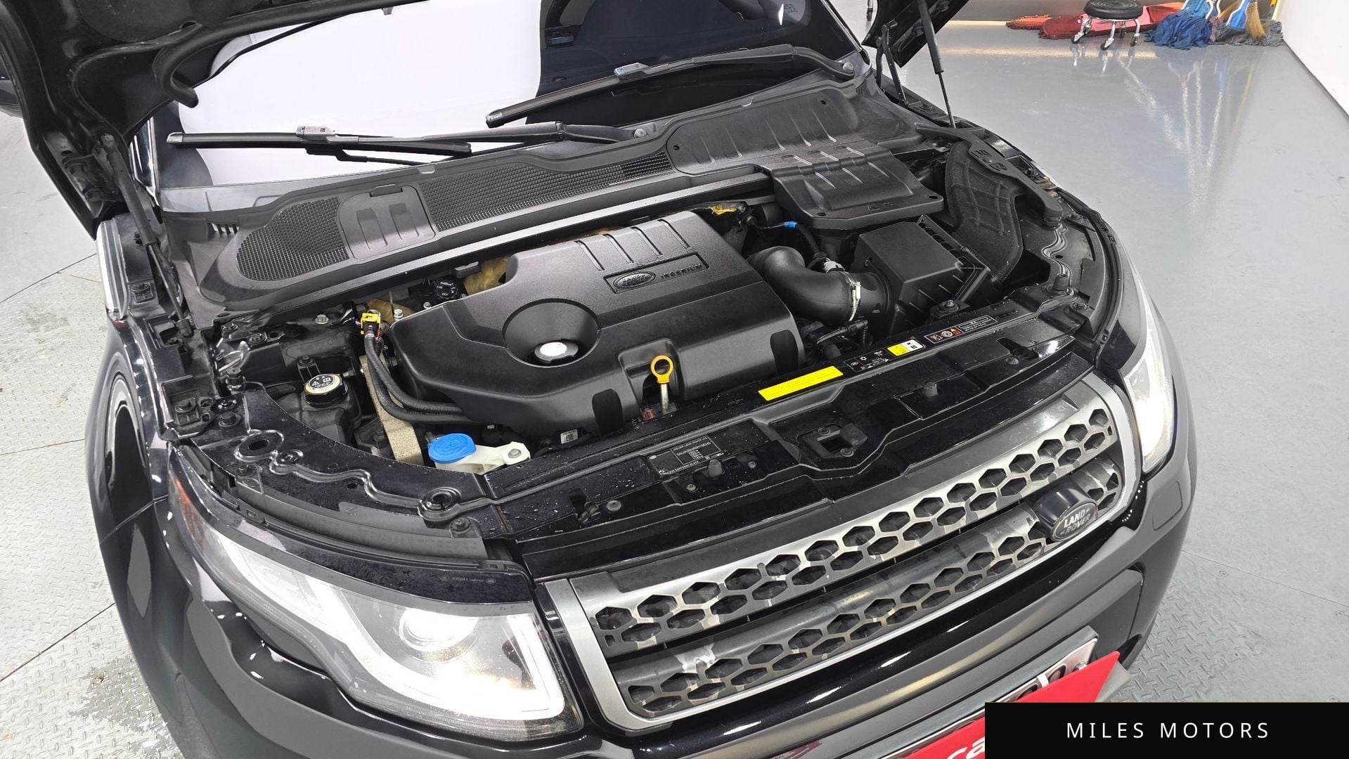 Land Rover Range Rover Evoque 2016 — миниатюра 6