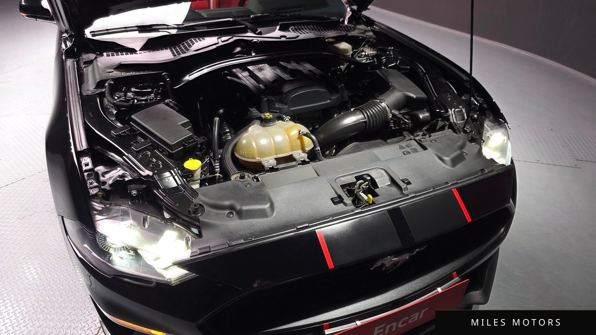 Ford Mustang 2019 — миниатюра 6