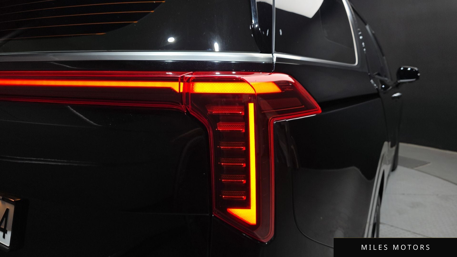 Kia Canival 2024 — миниатюра 9