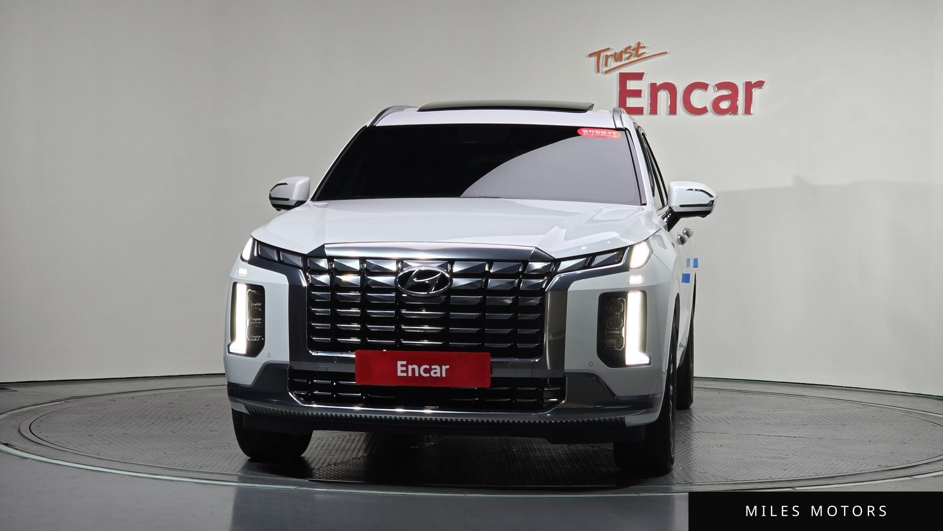 Hyundai Palisade 2024 — миниатюра 2