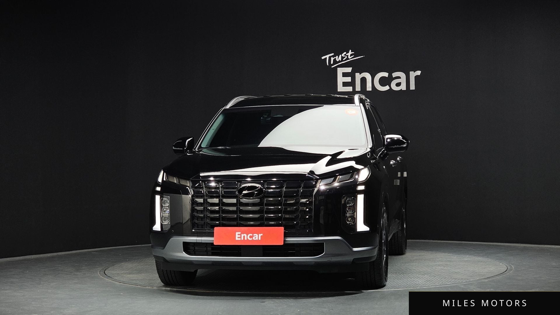 Hyundai Palisade 2023 — миниатюра 3