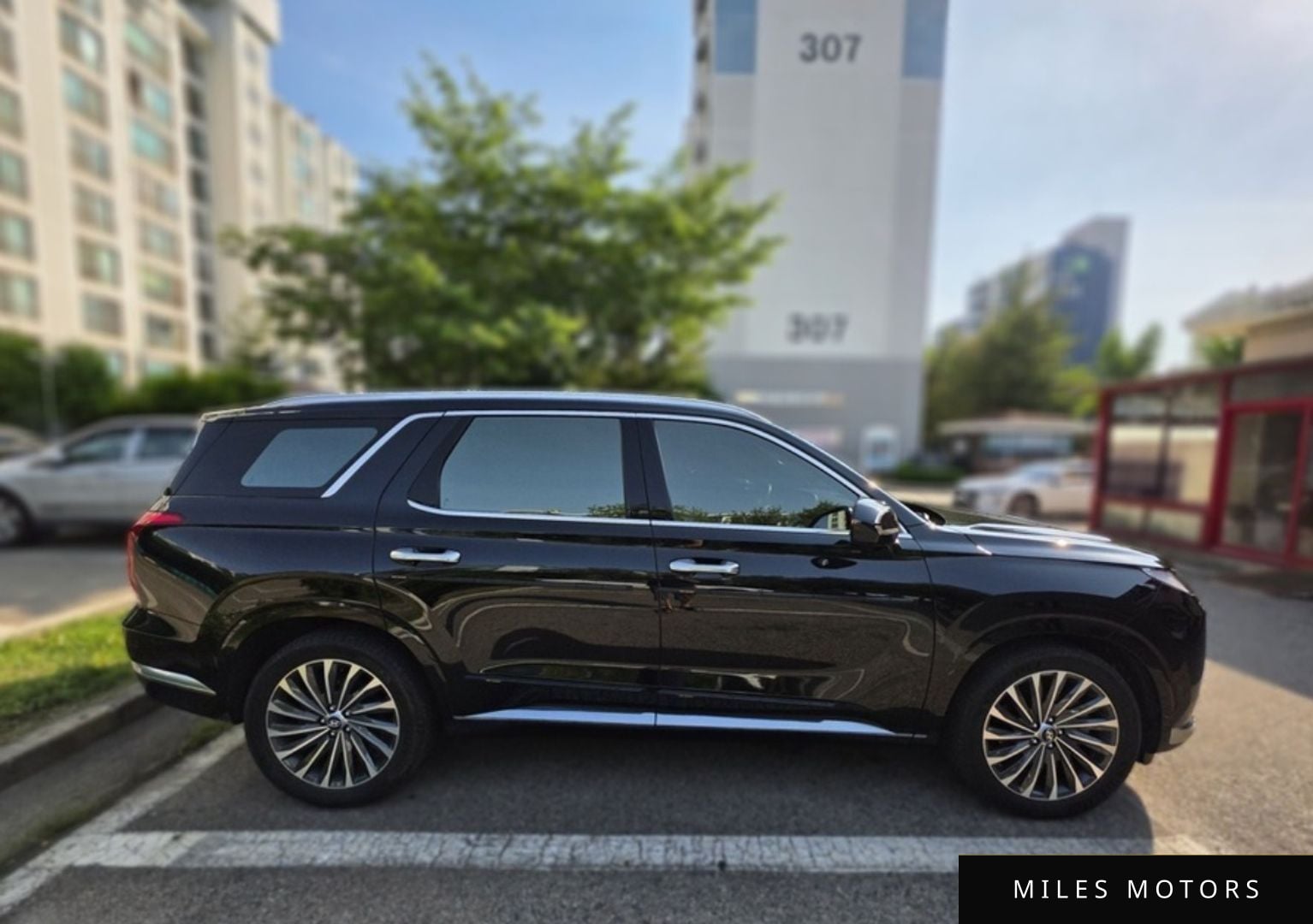 Hyundai Palisade 2024 — миниатюра 4