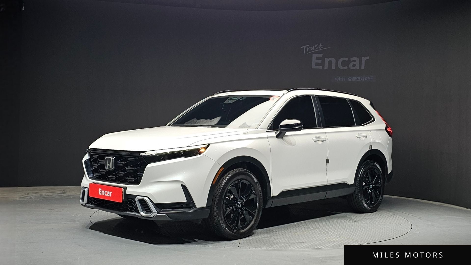 Honda CR-V 2024 — фото 1 из 12