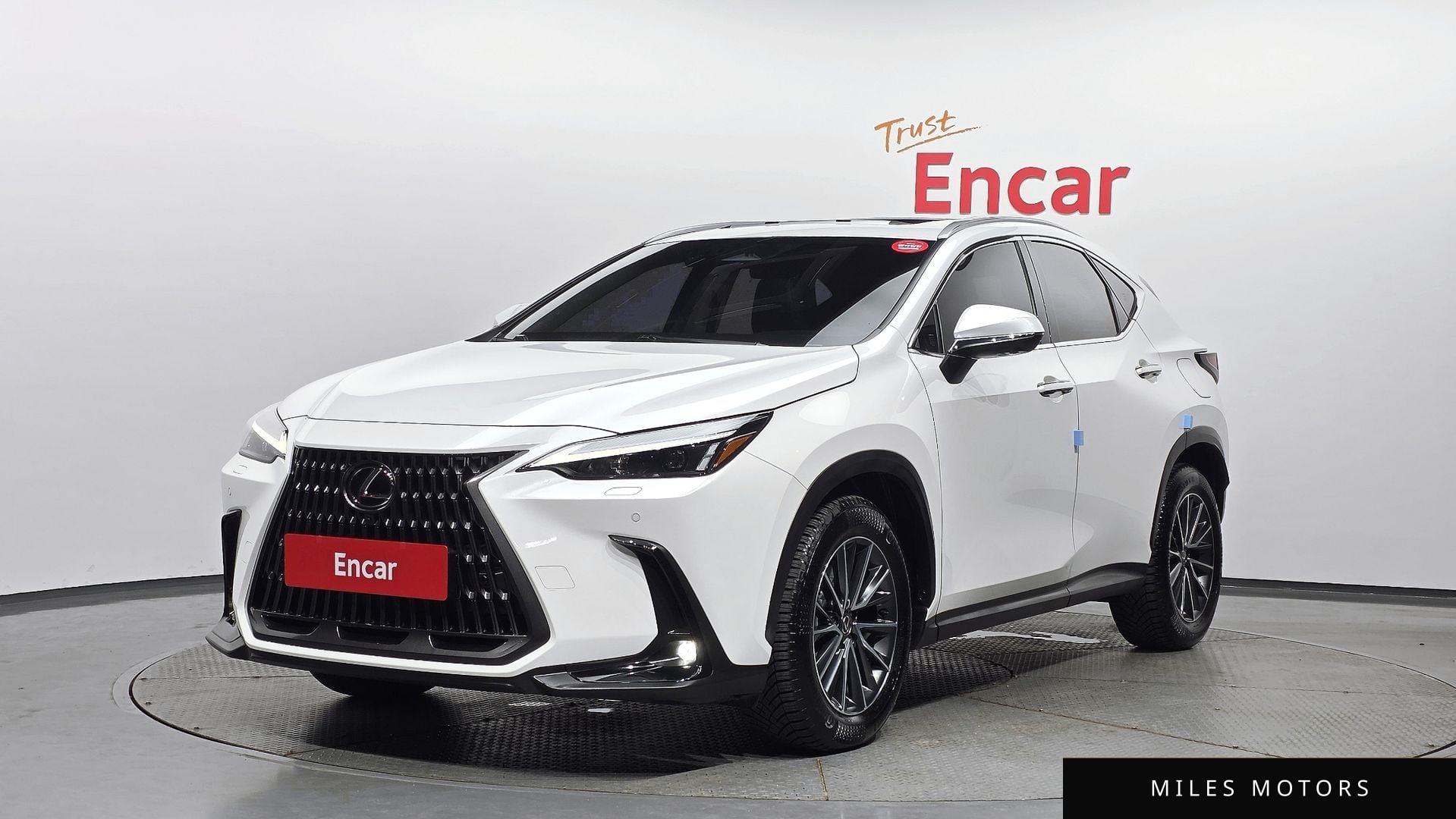 Лексус NX450h+ 2024 — фото 1 из 12