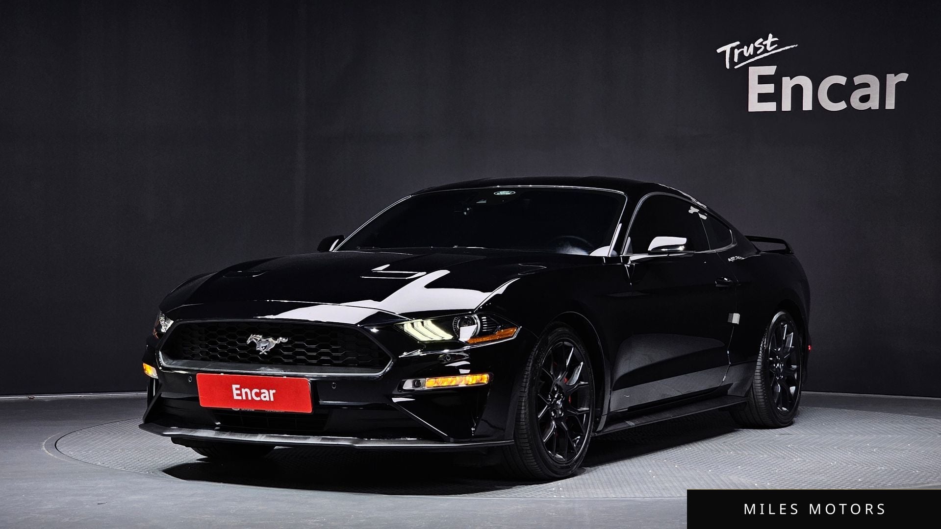 Ford Mustang 2019 — фото 1 из 12